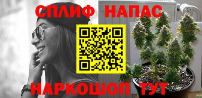 PSILOCYBIN Гагарин