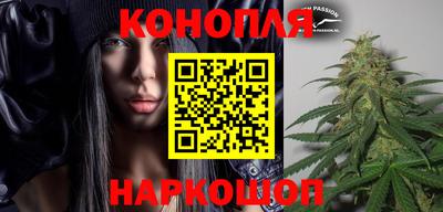 дурь Гай