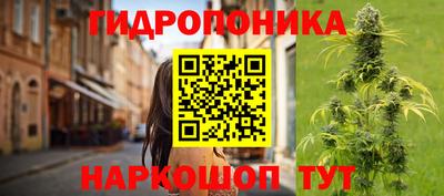PSILOCYBIN Гагарин