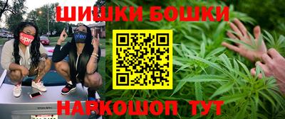 mdpv Гатчина
